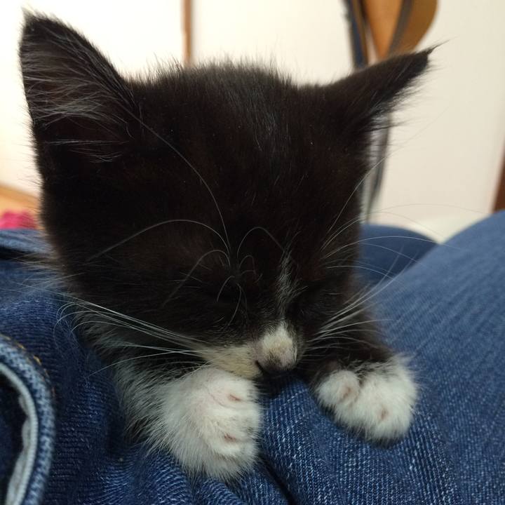 Ff21ca3b 7600 486f 84a4 1ea0079b6ce1