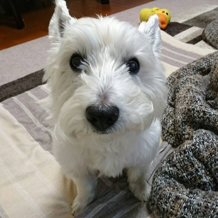 Ff21e031 1d56 4126 a24c 1d6bb25ad502