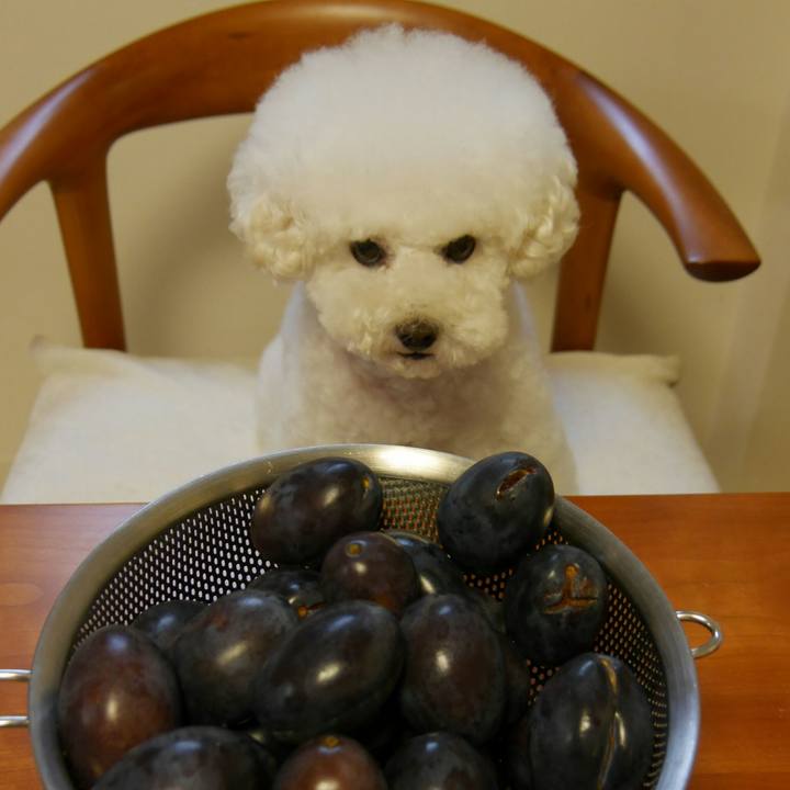 Ff21f410 9cb8 470b 93f5 1a76039da57b