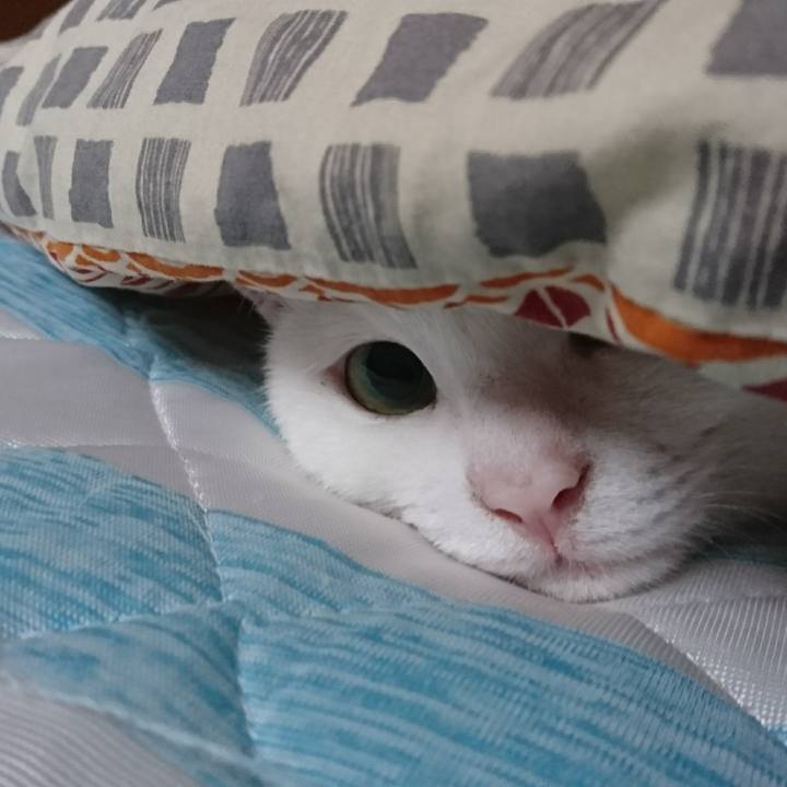 Ff2256b3 b85b 444d 9114 431eb91cf99b