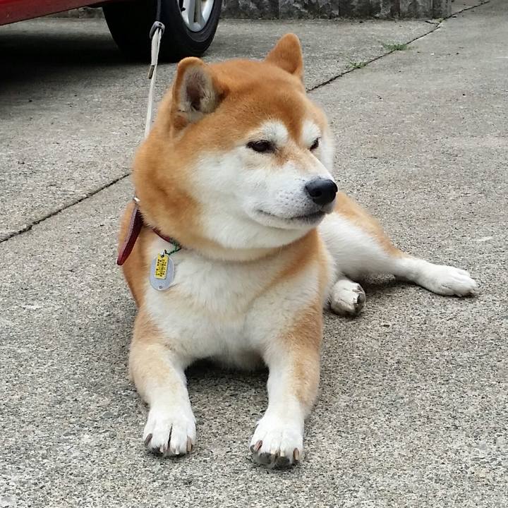 Ff22ae98 e547 4fdf 9837 abaf3e58b0de