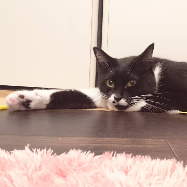 Ff22bba2 c96a 4345 9ee8 6a319579d380