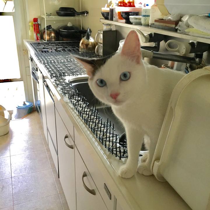 Ff23c651 4097 40c1 85e4 32c94713875f