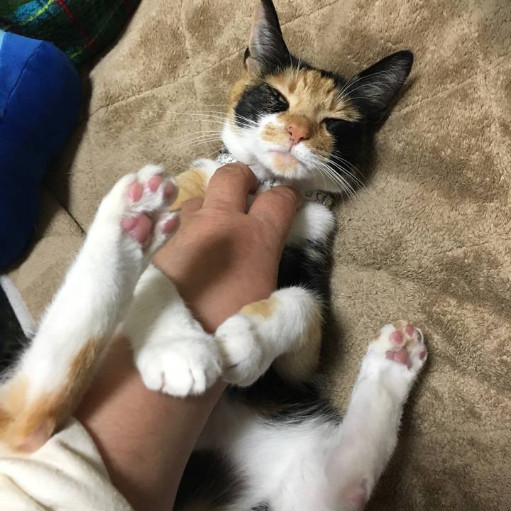 Ff24296c dadf 4959 85e6 9cc18ebc2867