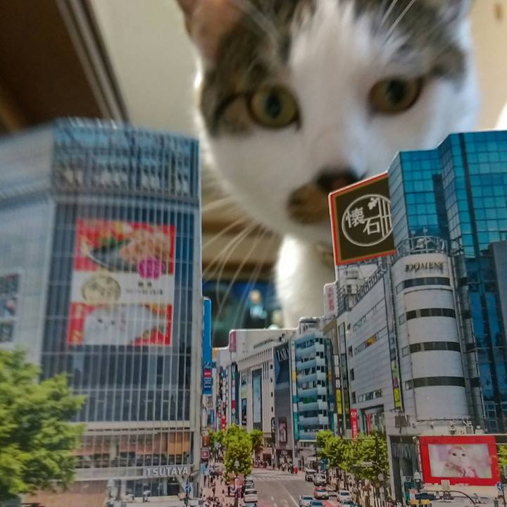 Ff24af9f f79a 4368 9af5 bfba15c4d78d