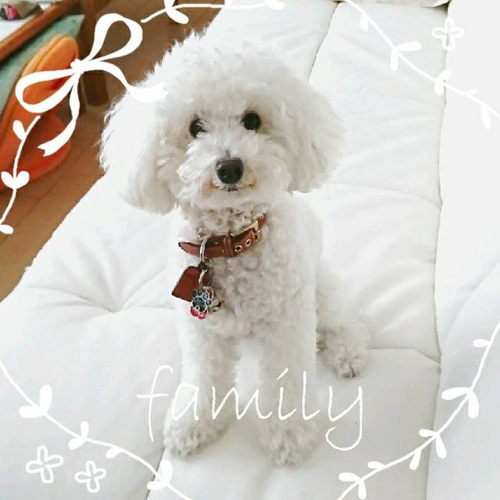 Ff25cc8a 961c 4f1e b627 683f08ba66a0