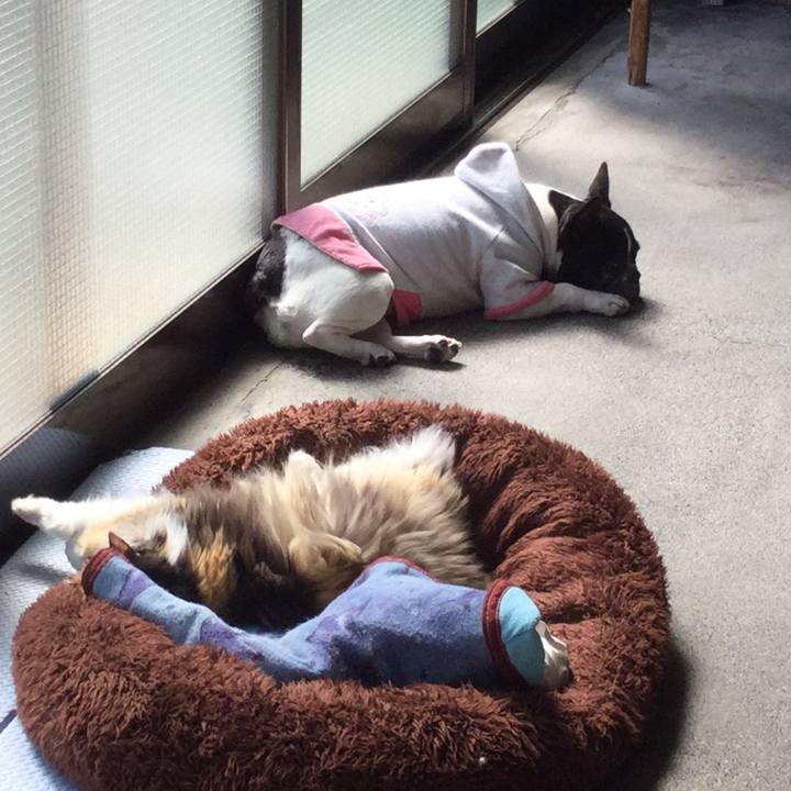 Ff25f48d 3d6e 4128 8235 40202253c07e