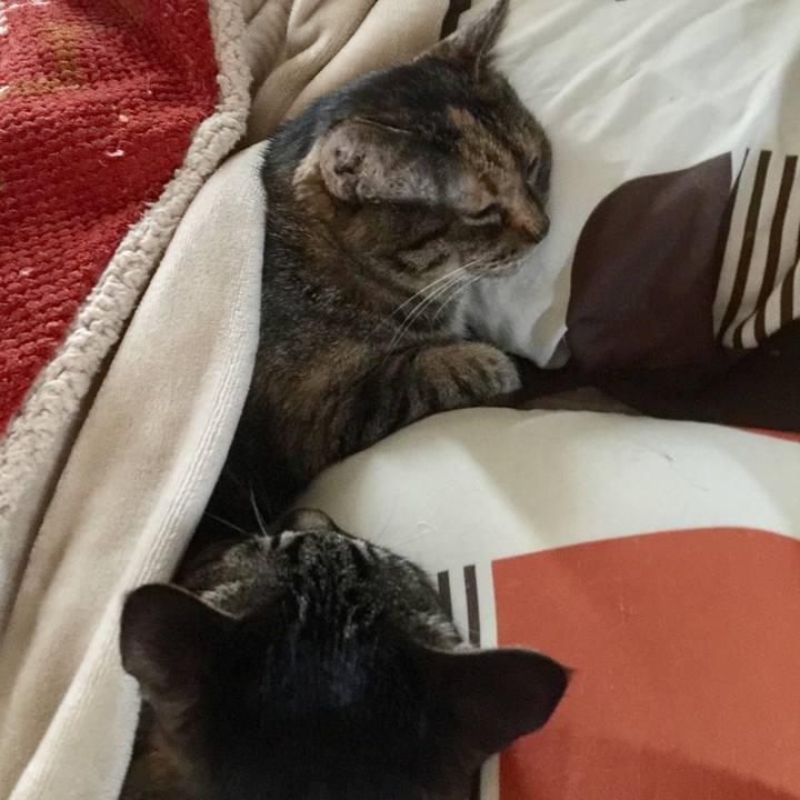 Ff2663d2 7f22 4d9c a227 f50a6ff2ffd9