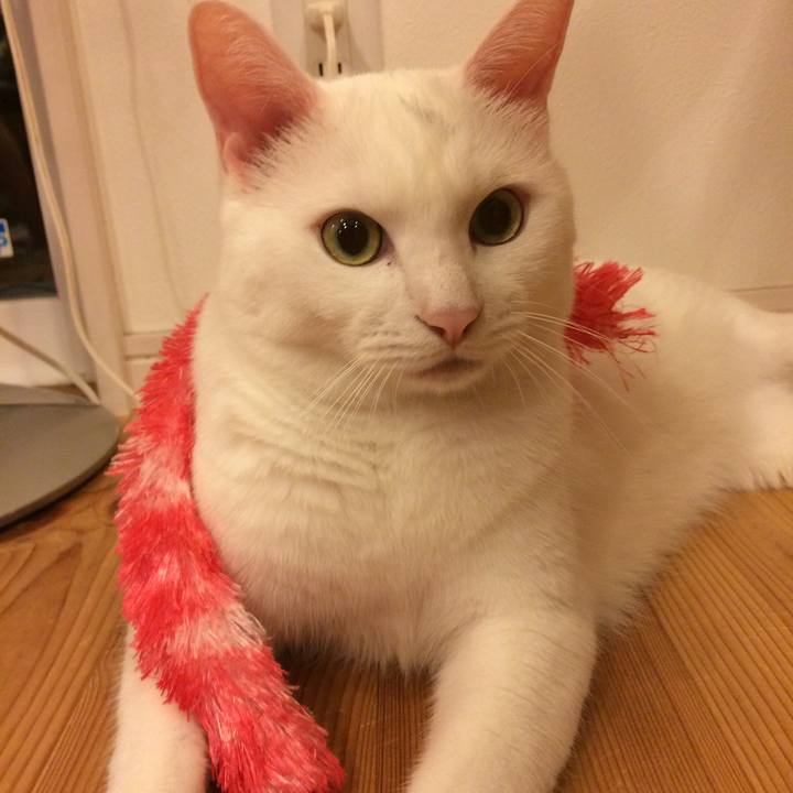 Ff267d66 f669 40ca 945d db3fc5b8ae60