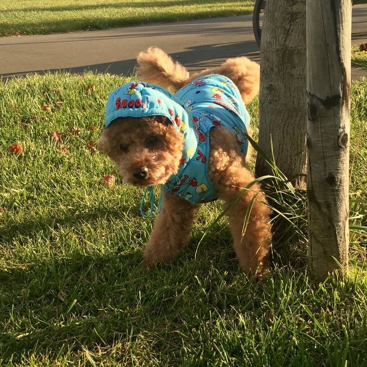 Ff268538 eee8 49d0 929c 80cd867fdd5e