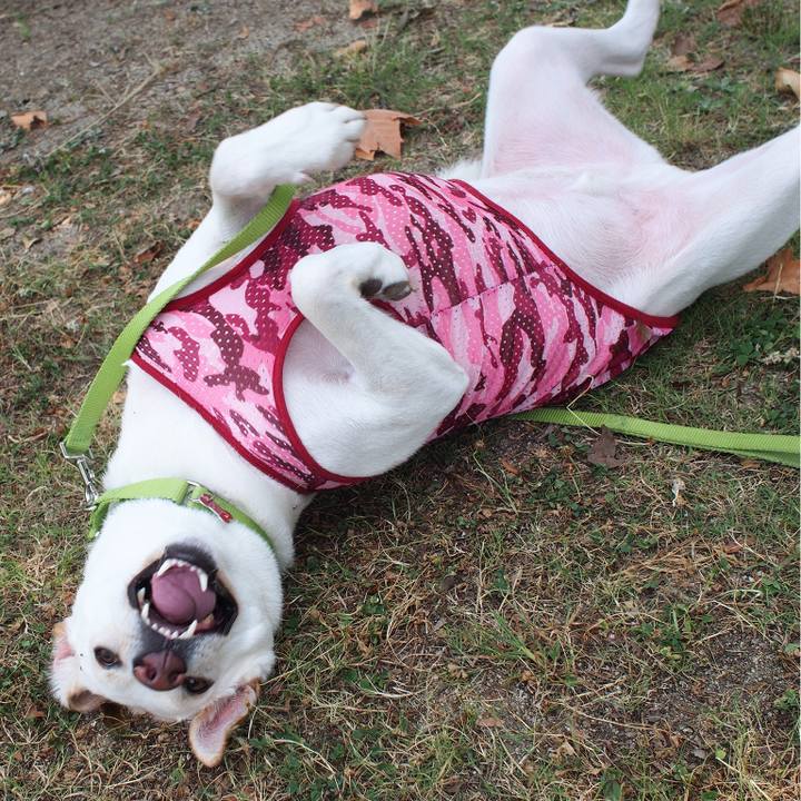 Ff26b748 5922 419f a122 276b54b9c51c