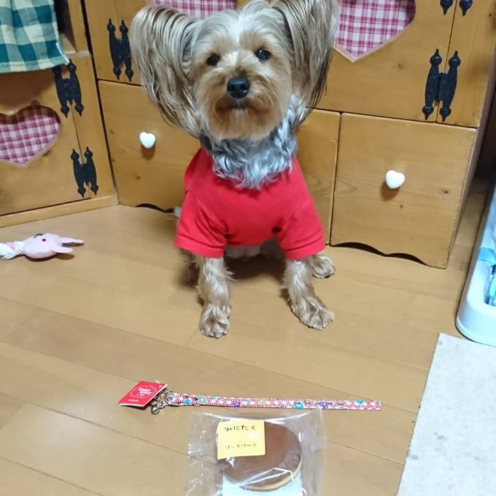 Ff26ed51 7a9f 4972 ae04 9e4fbdf12472