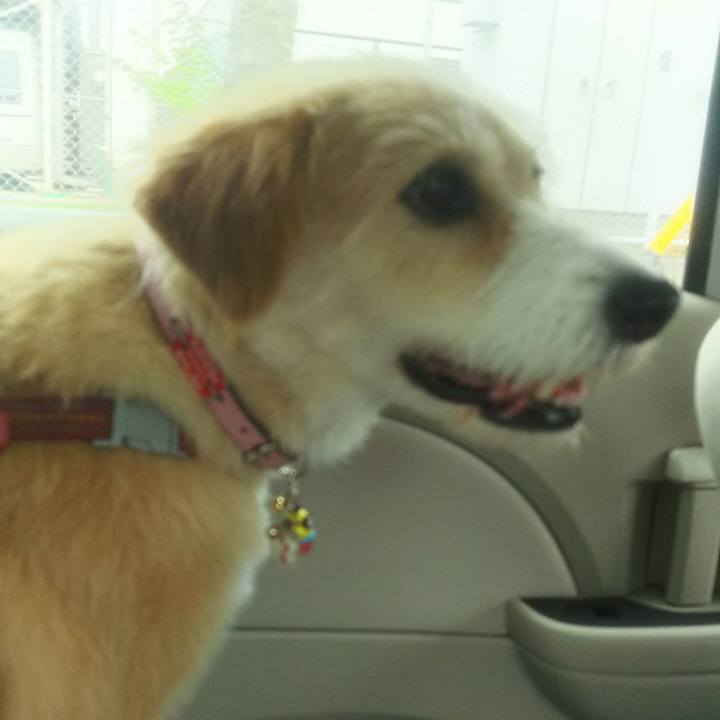 Ff27104d 3ed2 4b6e b2b9 7996f674cae8