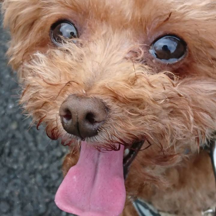 Ff27c2d1 3f7f 4591 9d74 0cbc5308080b