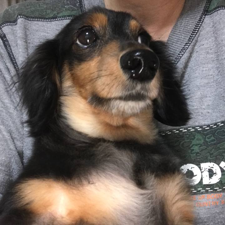 Ff290d79 77be 4dc0 b68c c827ea2cbf86