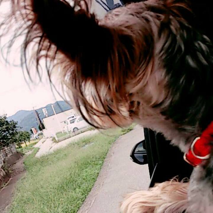 Ff29112e a6e7 4c2f 8127 011d21816d2e