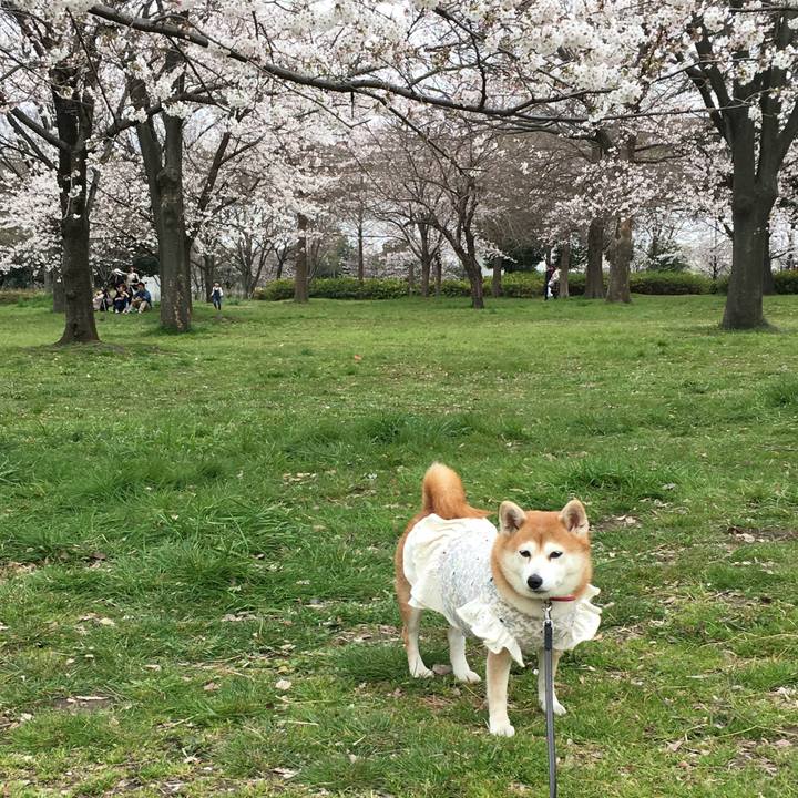 Ff29ccd9 ea2b 4173 ad84 d267e607e645