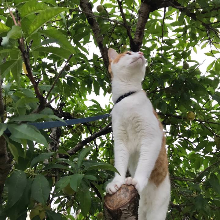 Ff2a17ad a2b0 4774 99b5 c5b53a65e553