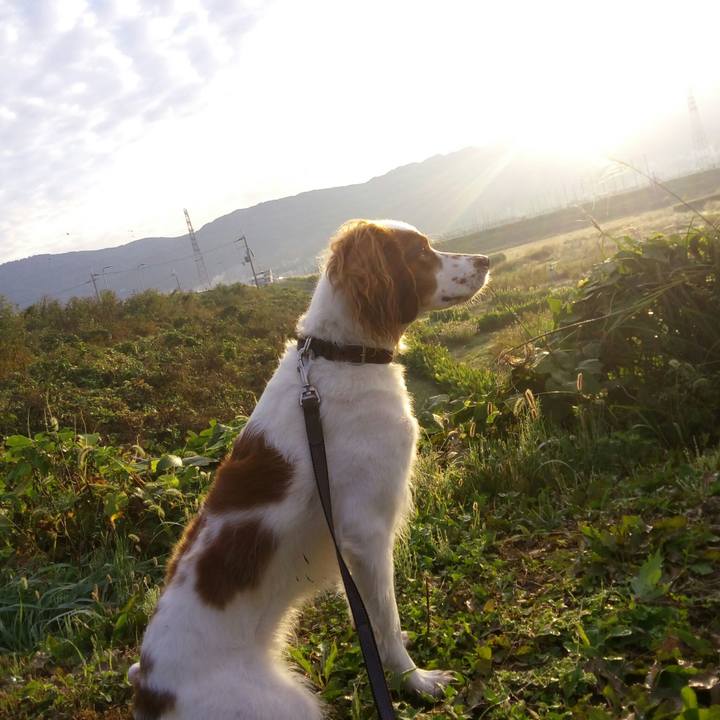 Ff2a59d9 e394 4088 bfbb 0263b9ce794b