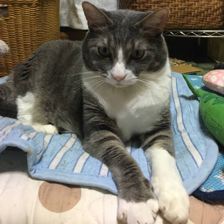 Ff2a96db 9891 499b 8050 3189a76b9448