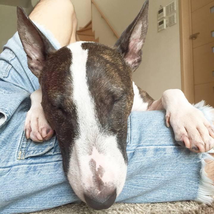 Ff2a9774 4b1e 4e0e 97b0 a7eaa757d9de