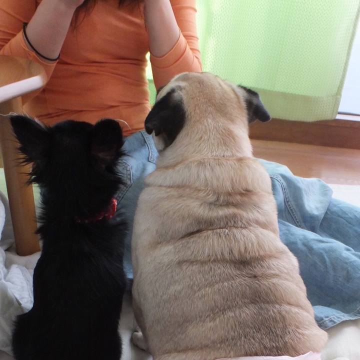 Ff2c08fa 570c 4d04 8025 e69a4ebf264d