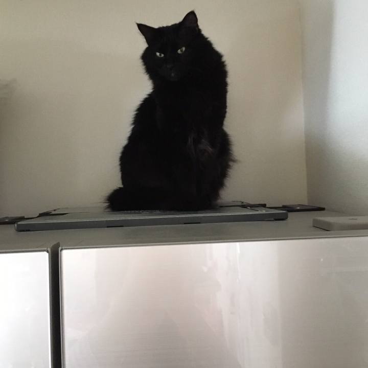 Ff2c282a 1095 481e 84f6 33d9ac7f4214