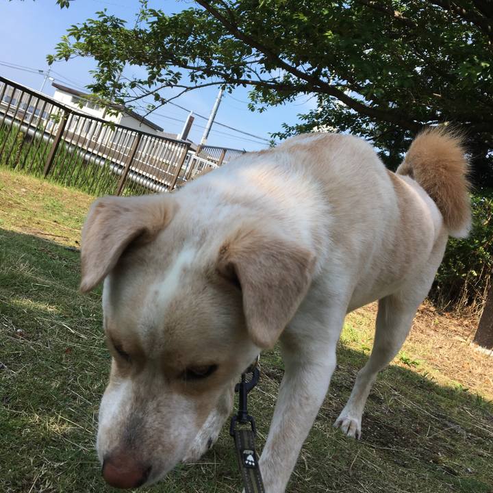 Ff2cf600 2437 4ac7 8473 2058f9ff6d7b