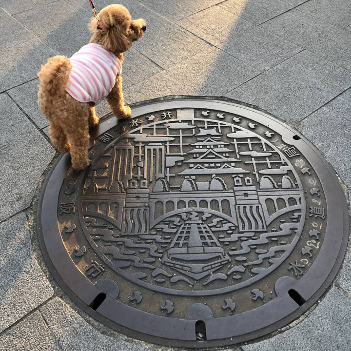 Ff2cf801 78cf 4b32 98e7 7fa674ab55e4