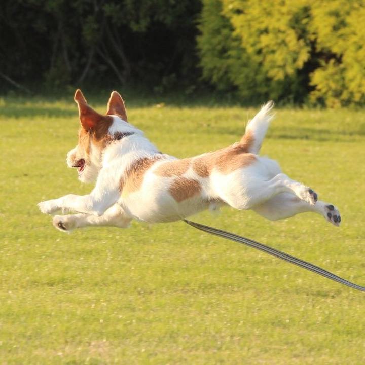 Ff2d57d6 1712 49fe 8b24 3ac052ecc61a