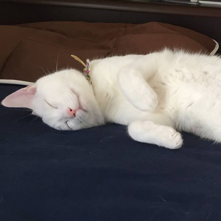 Ff2d80af beef 4752 9795 e15f9c797046