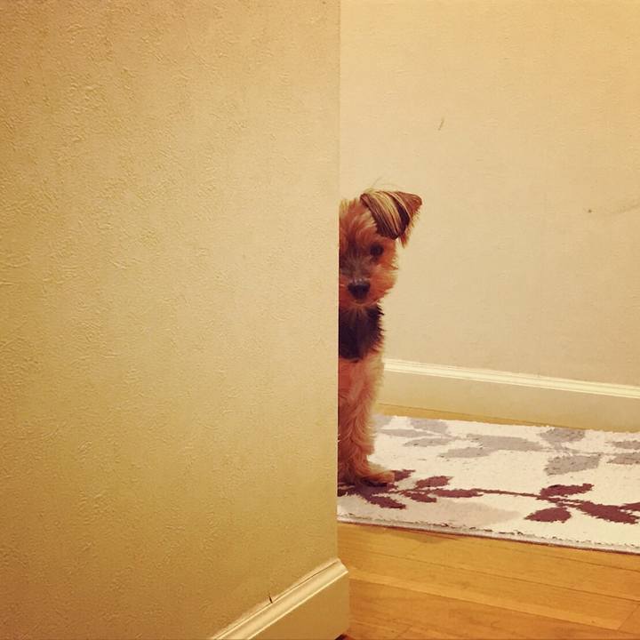 Ff2f4808 b37b 4ce9 b3bd d8ff115f52d1