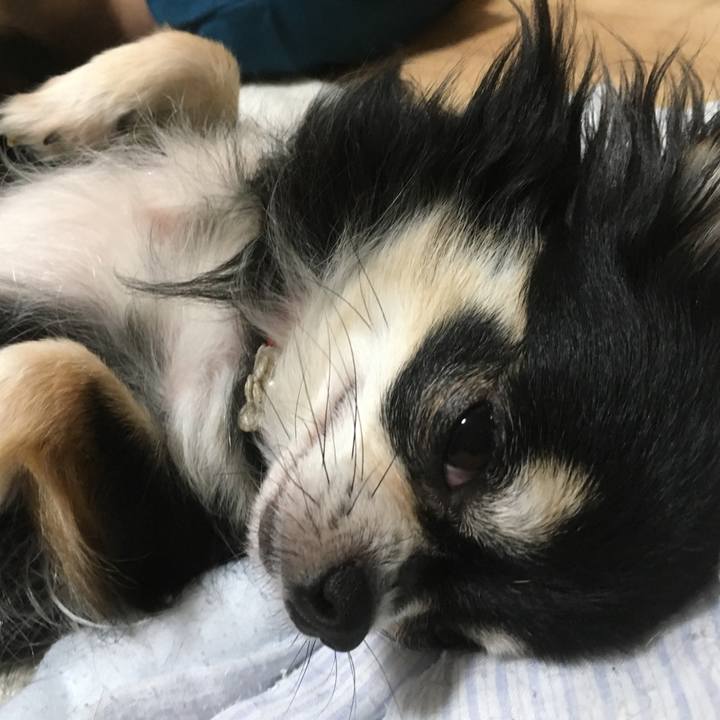 Ff2f5f6f 3077 48ff 9a18 dbe85bd69b75