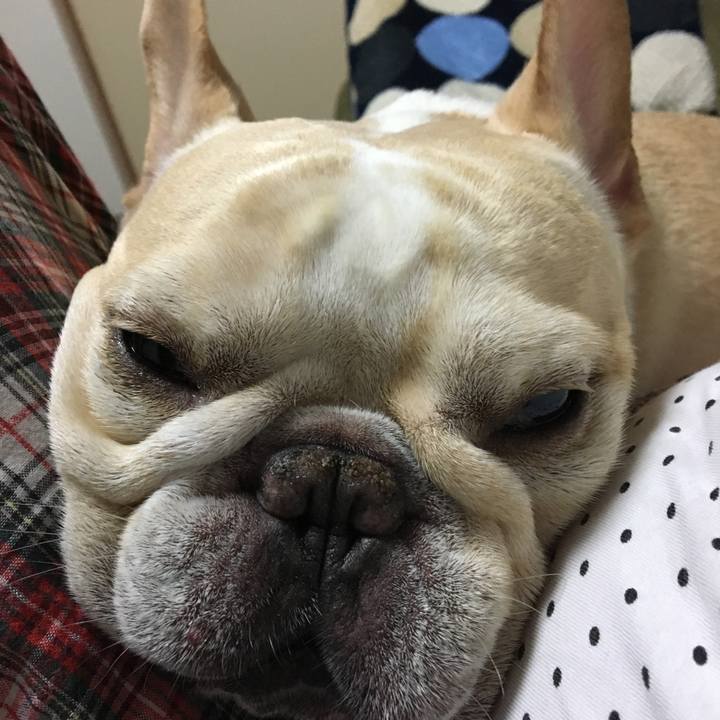 Ff2f960f 0438 4b56 b879 c6fc831b3190