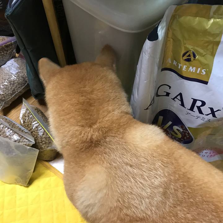 Ff2fd287 e6f2 4c9f 947c 1bbbab34073a