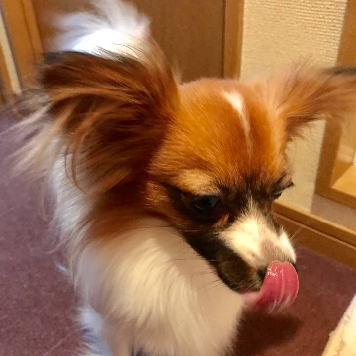 Ff2fed40 54de 4386 b25a f80125541ee3