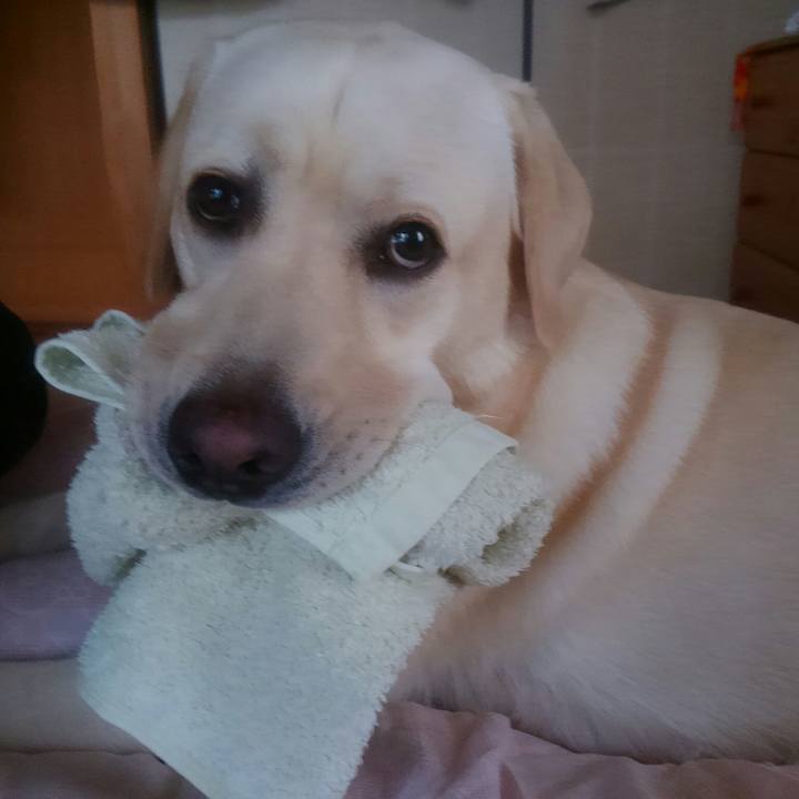 Ff30215b e8fa 45d9 8294 742bd1469480