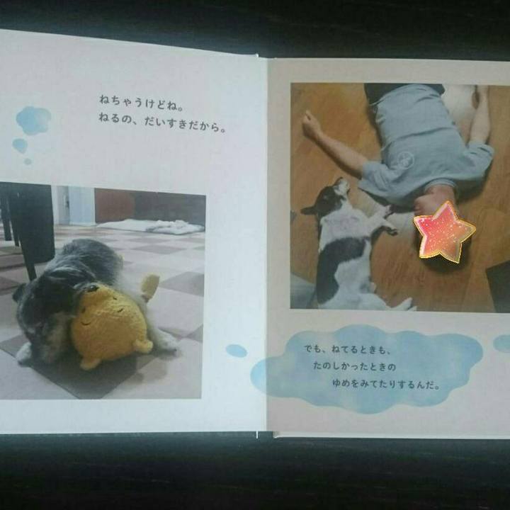 Ff305a16 edbe 44b4 b125 8bb111acedd5