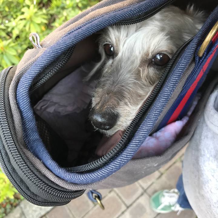 Ff30a412 02fb 4995 ae21 edf1699c47a1