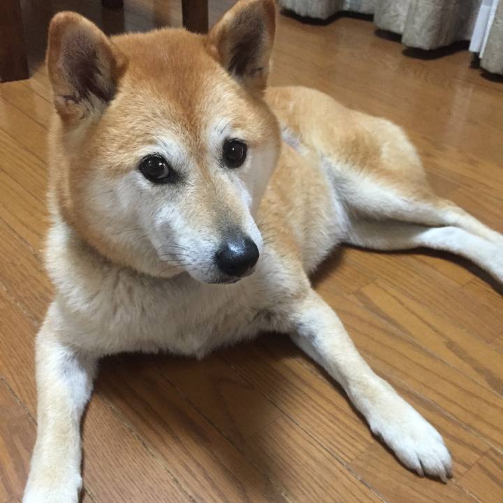 Ff30c4f5 8195 4124 a1e1 b210f0f160d3