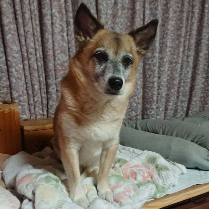 Ff319be6 d8ac 4aa1 9cfb 75b31c2aa81e