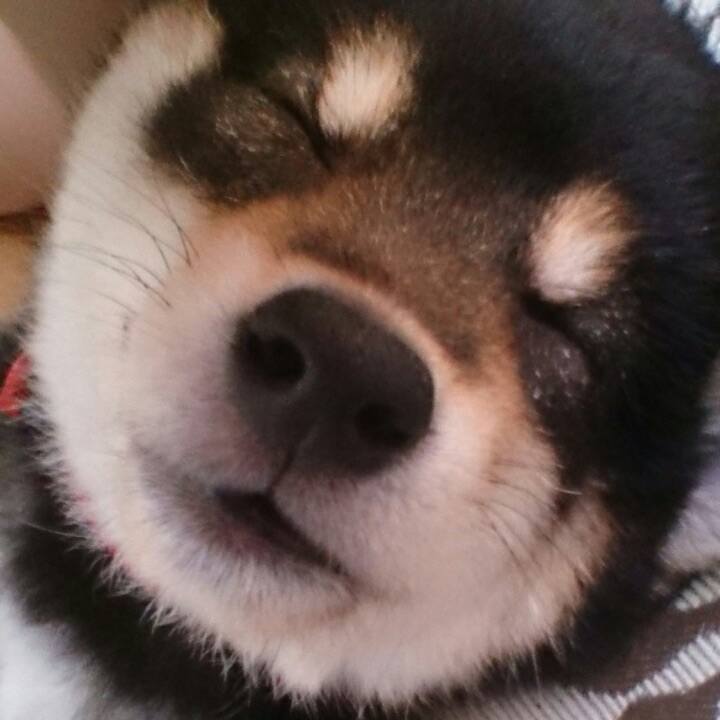 Ff32aa50 61be 491e 9735 7eb96a3600a1