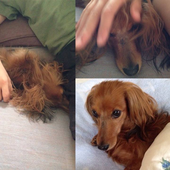 Ff32cd1f 55d4 48e2 b360 bc5d5d7f89e1