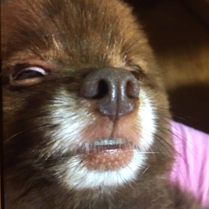 Ff32d457 8712 49e7 a6f6 dc51b2ab7065