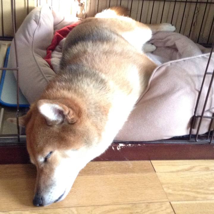 Ff33e517 39a4 4a8e 9a43 f95ba45fe2b4