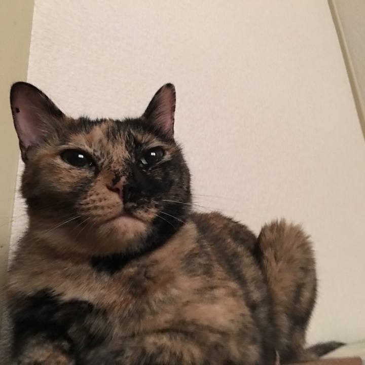 Ff3403d0 e0ef 487c b2f0 9bdc83950b08