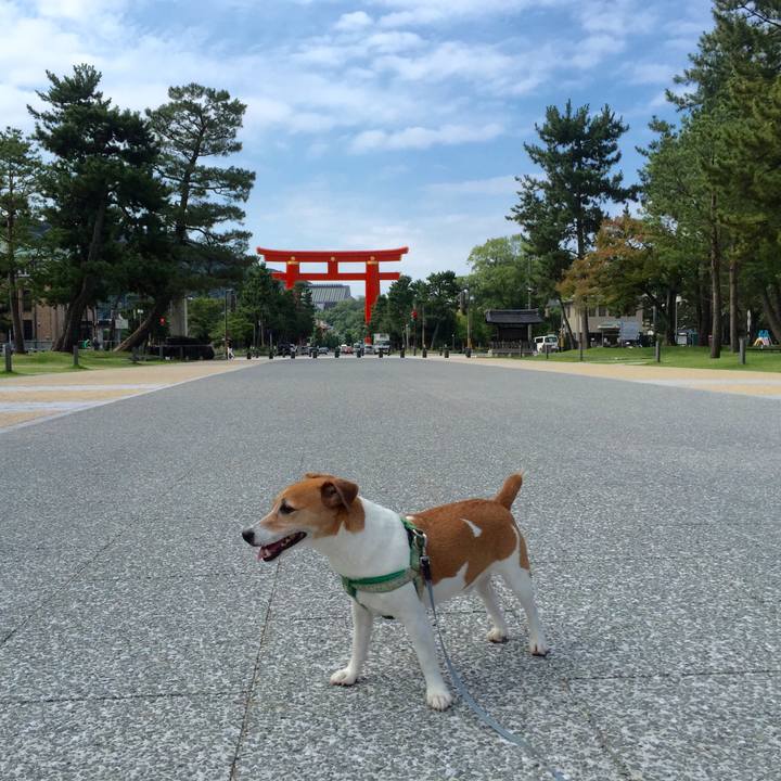 Ff34bc27 b56b 470d befc b4a996e5ee49