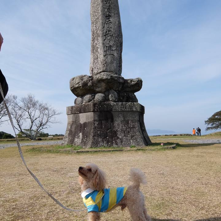 Ff34fe02 d203 4092 90e5 383aa2a3949e