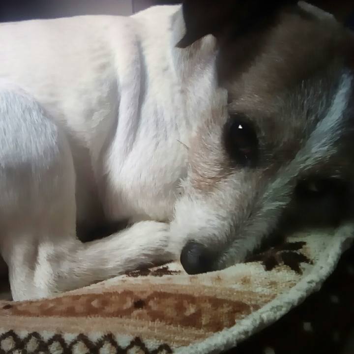 Ff35268a 67c8 441c b3a2 6c20bb63e94c