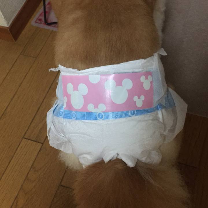 Ff357a53 f73a 474f a4b2 9c8c0226ab52